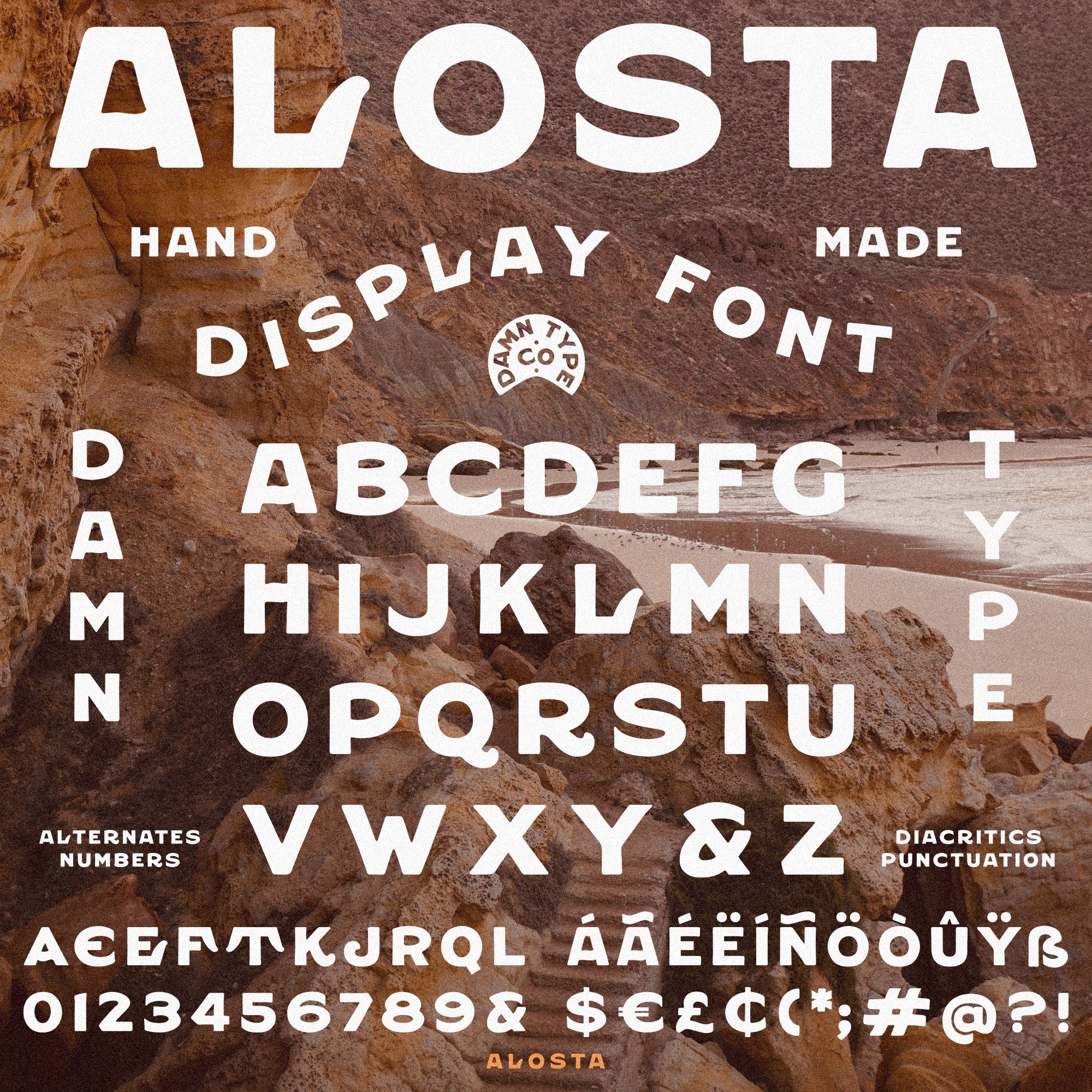 Alosta — Damn Type Co.